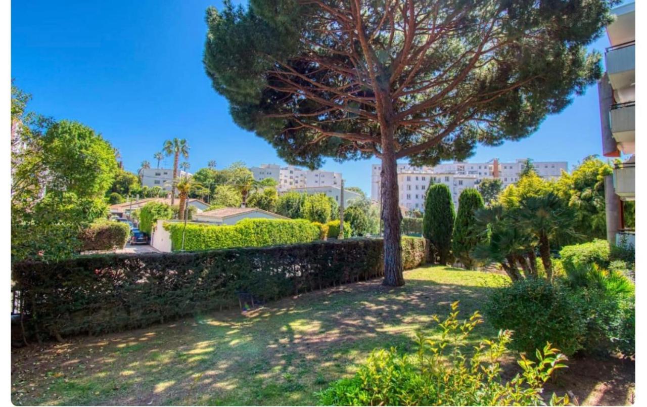 Superbe Studio Lumineux Sur Cannes Avec Terrasse ! A Quelques Minutes De La Celebre Rue D'Antibes ! Ngoại thất bức ảnh