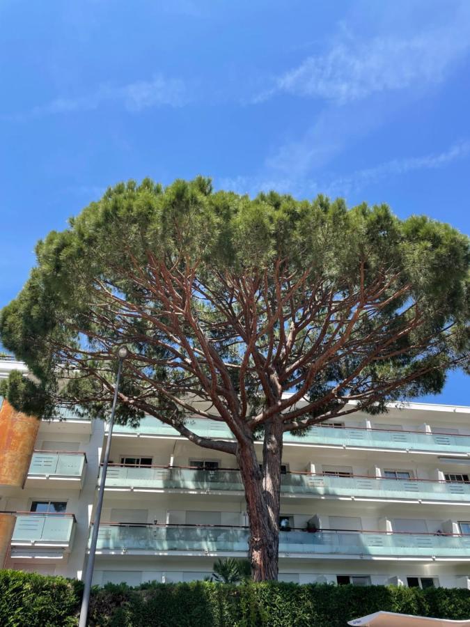 Superbe Studio Lumineux Sur Cannes Avec Terrasse ! A Quelques Minutes De La Celebre Rue D'Antibes ! Ngoại thất bức ảnh